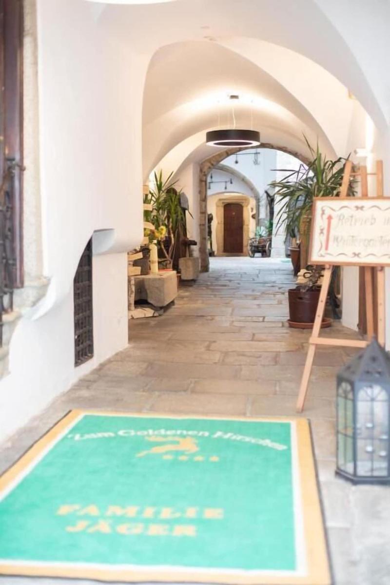 Hotel Zum Goldenen Hirschen - Genel