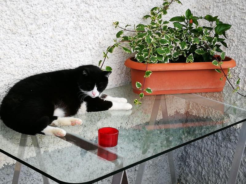 B&B La Terrazza Sui Fieschi - Genel