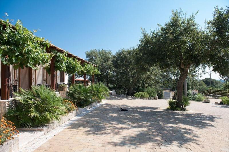 Red Rose B&B - Lobi