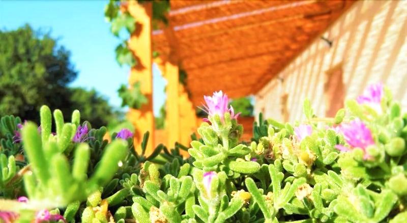 Red Rose B&B - Genel