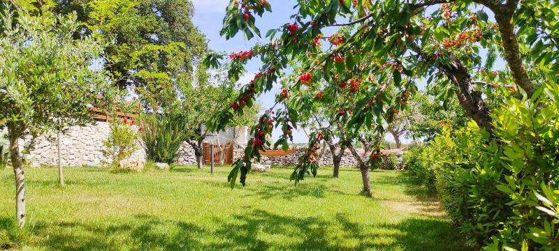Red Rose B&B - Genel