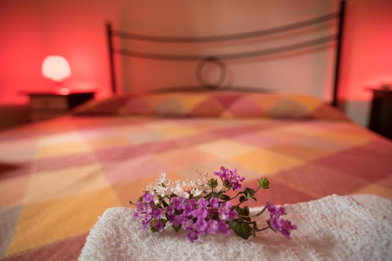 Red Rose B&B - Oda
