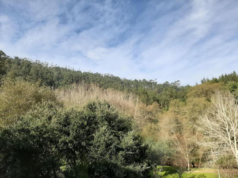 Hotel Parque Serra da Lousã - Genel