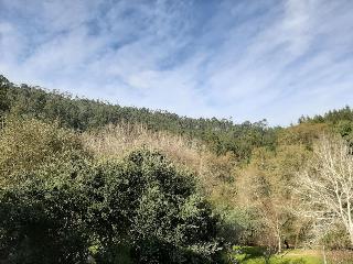 Hotel Parque Serra da Lousã fotoÄŸrafÄ±