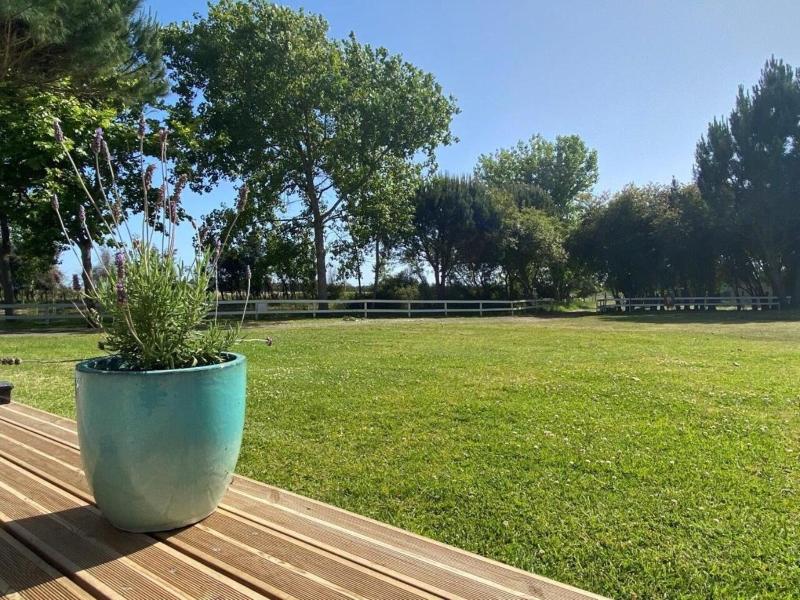 Hotel Rural Moita Mar - Genel