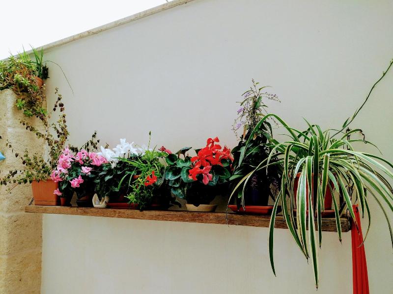 Casa Della Nonna - Teras