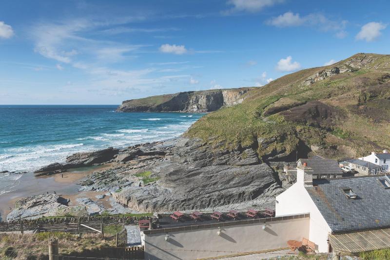 The Port William - Genel