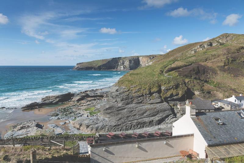The Port William - Genel