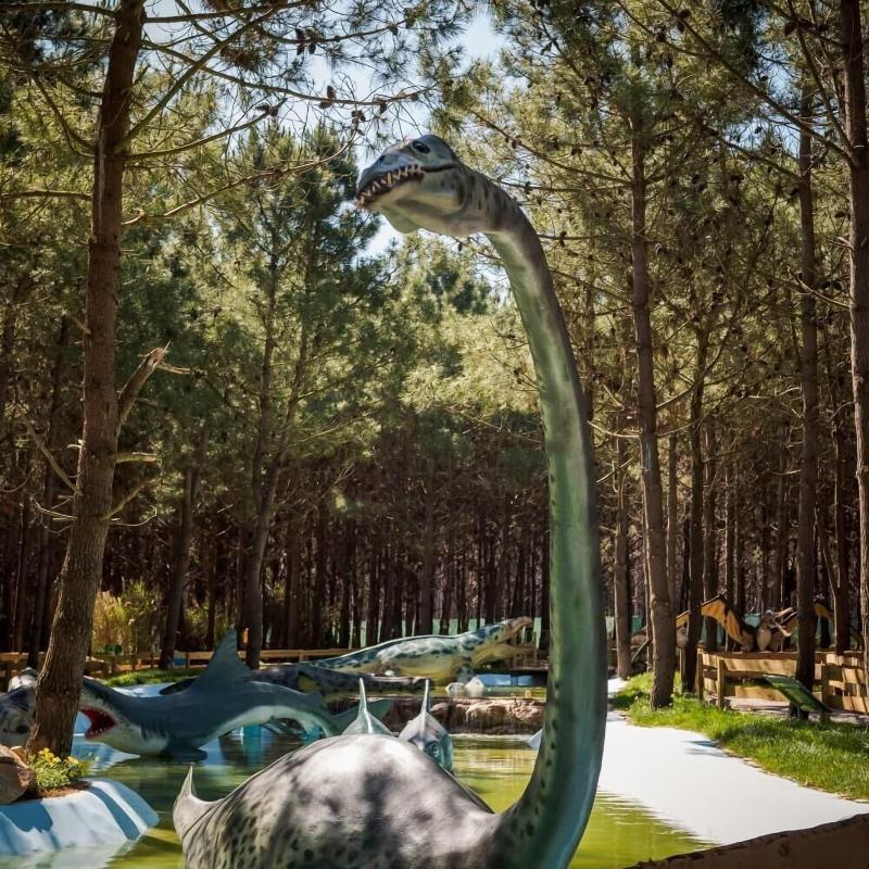 Hospedaria Recomeçar - Genel
