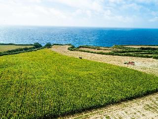 Sensi Azores Nature And Spa fotoÄŸrafÄ±