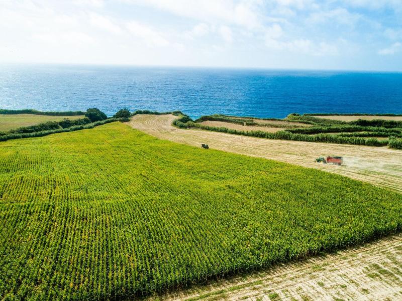Sensi Azores Nature And Spa - Oda