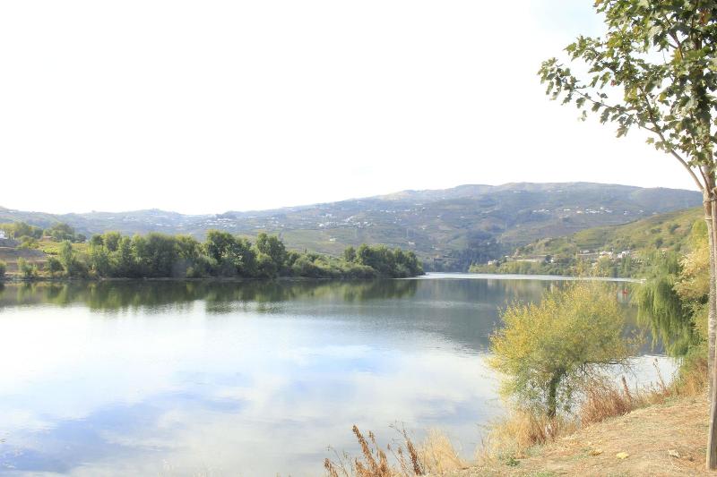 Casa Do Salgueiral Douro - Aktivite