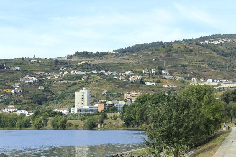 Casa Do Salgueiral Douro - Genel