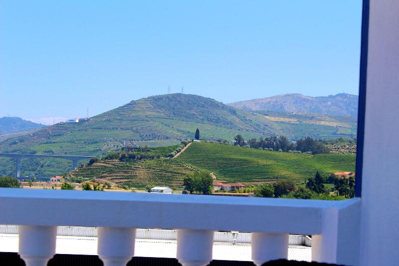 Casa Do Salgueiral Douro - Oda