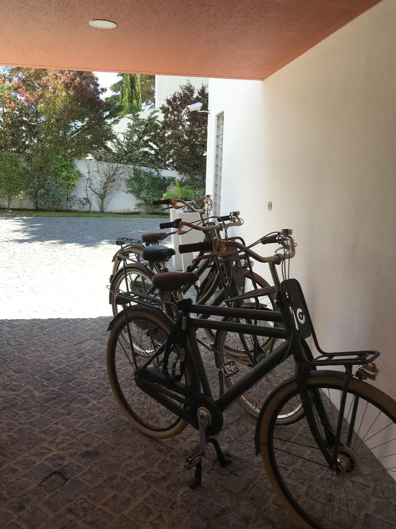 Cascais Casa Laranja Guesthouse - Aktivite