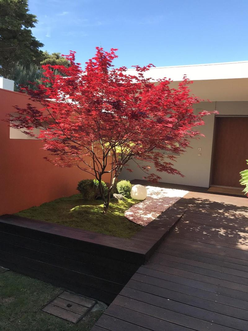 Cascais Casa Laranja Guesthouse - Genel