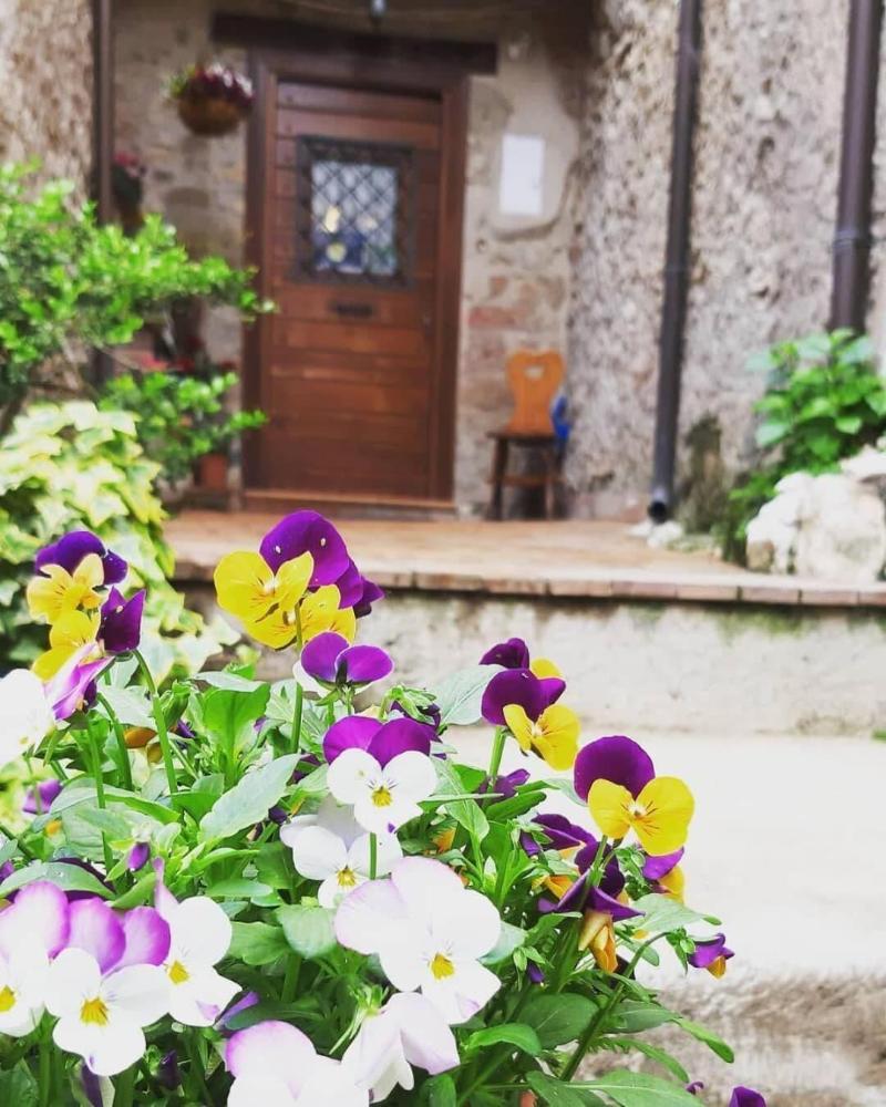 B&B Rupe Antica - Genel