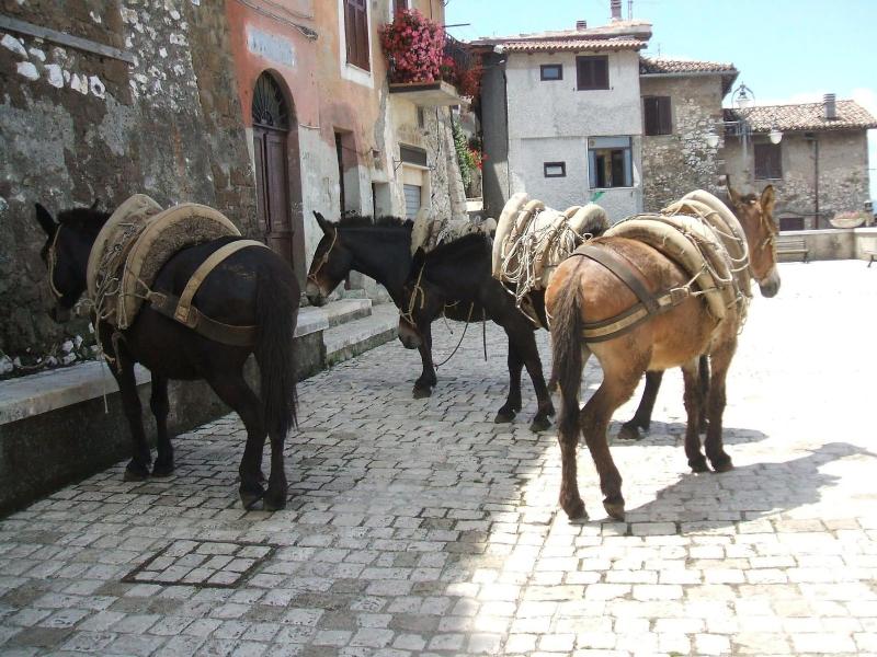 B&B Rupe Antica - Genel