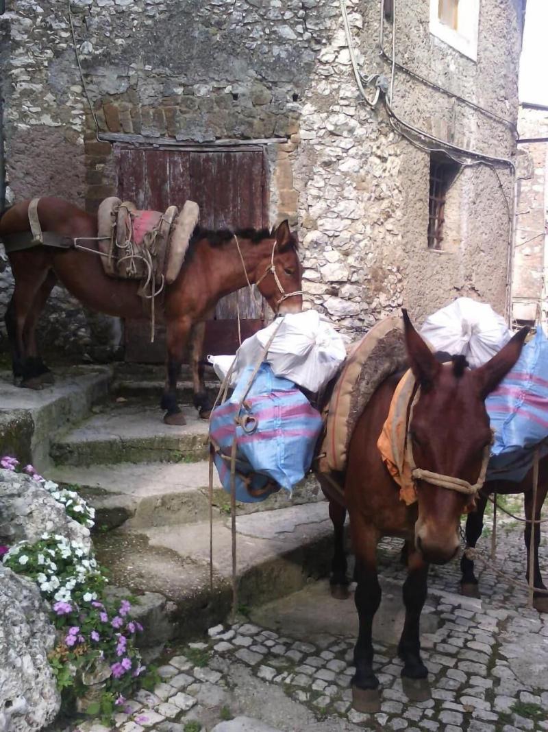 B&B Rupe Antica - Genel