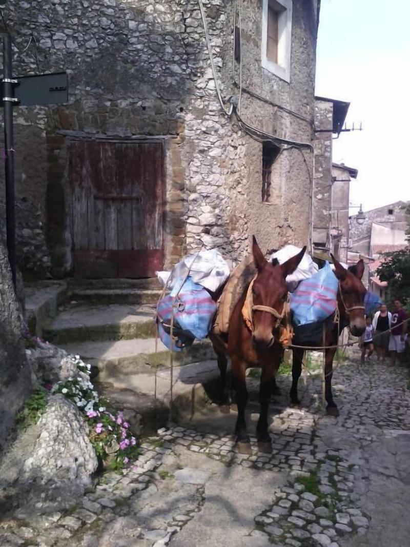 B&B Rupe Antica - Genel