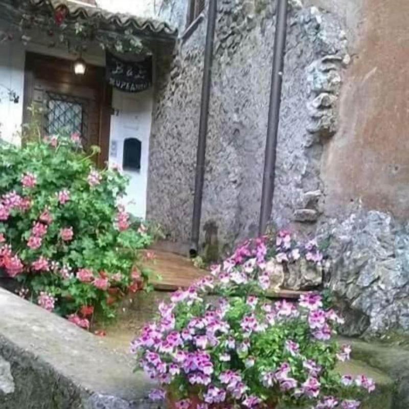 B&B Rupe Antica - Genel