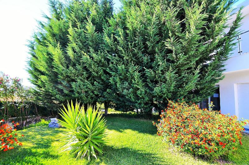 HILLTOP OASIS - Lisbon Lux Oeiras Resorts - Teras