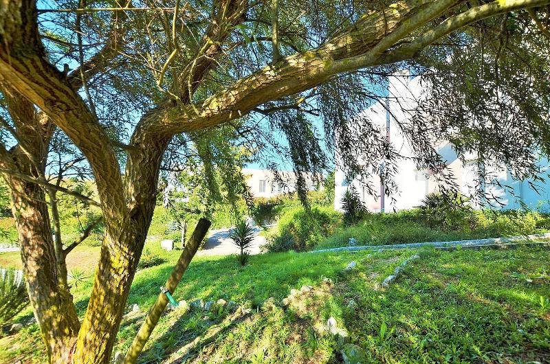 HILLTOP OASIS - Lisbon Lux Oeiras Resorts - Teras