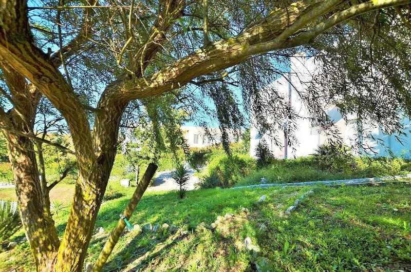 HILLTOP OASIS - Lisbon Lux Oeiras Resorts - Teras