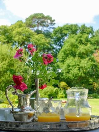 Cedar House Boutique B&B fotoÄŸrafÄ±