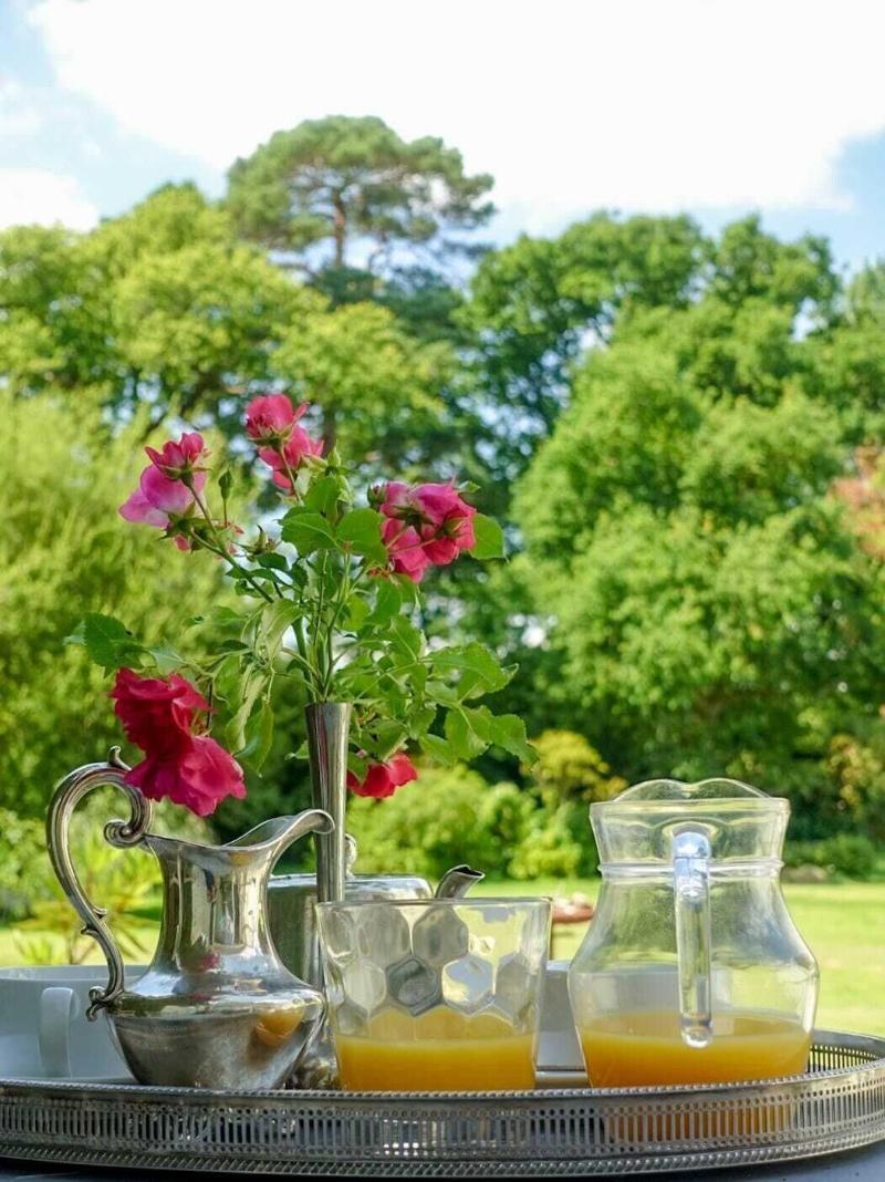 Cedar House Boutique B&B - Genel