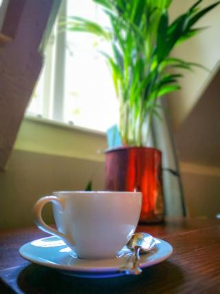 Cedar House Boutique B&B fotoÄŸrafÄ±