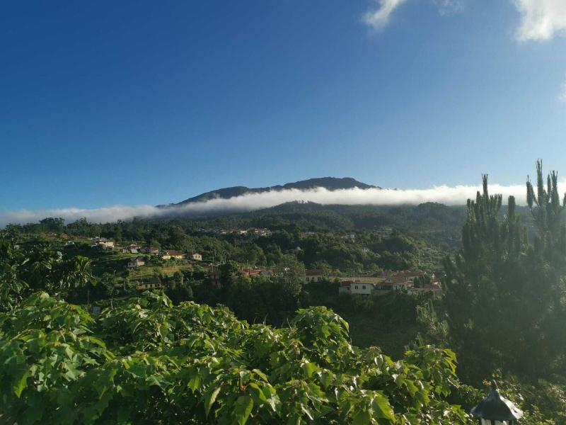 Santana in Nature Bed & Breakfast - Aktivite