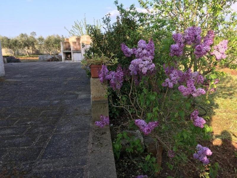 Corte dei Salentini Bed & Breakfast - Genel