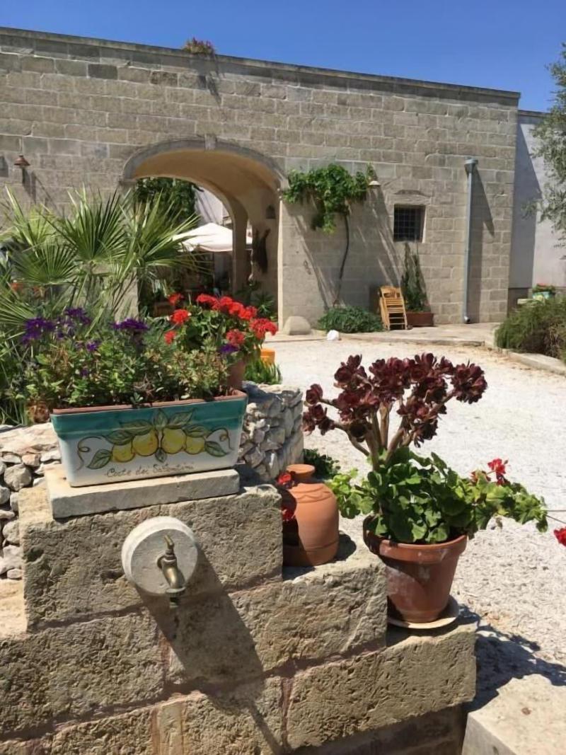Corte dei Salentini Bed & Breakfast - Genel