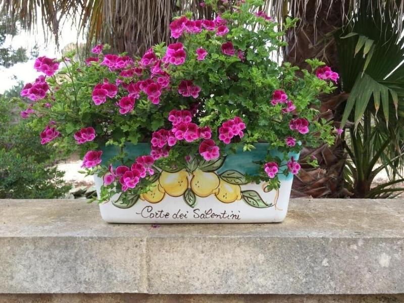 Corte dei Salentini Bed & Breakfast - Genel