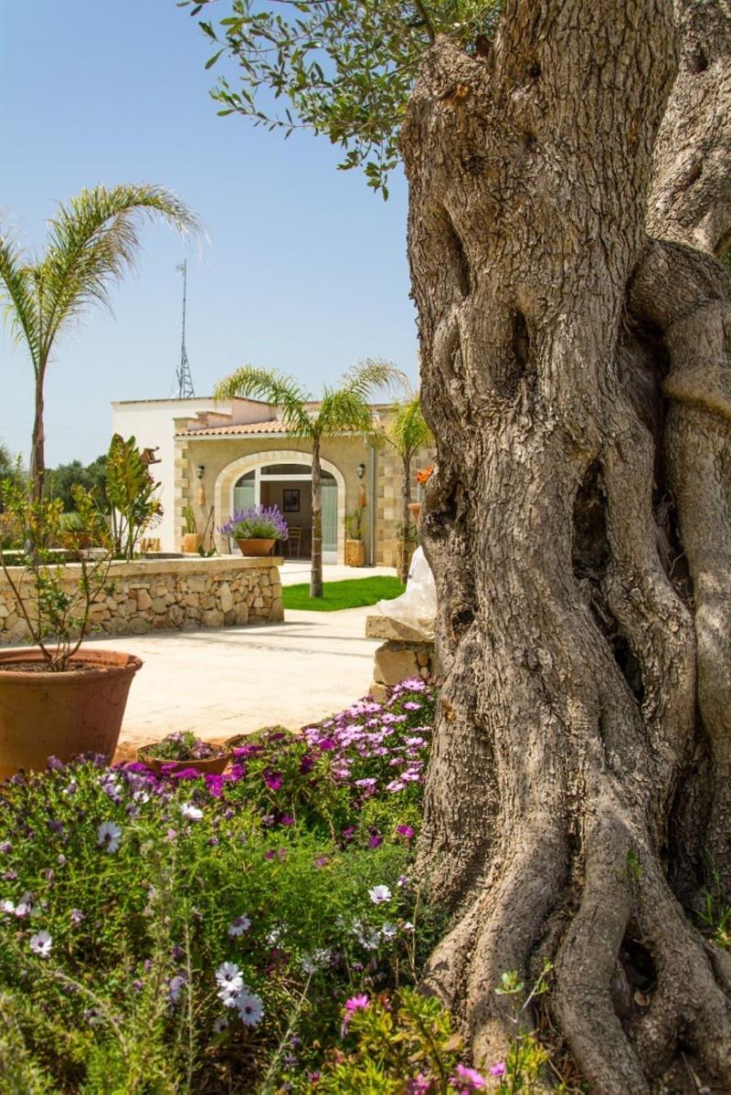 Relais Tenuta Campì - Genel