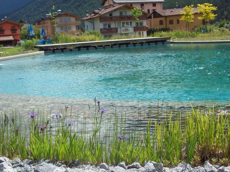 B&B Nido Delle Aquile - Aktivite
