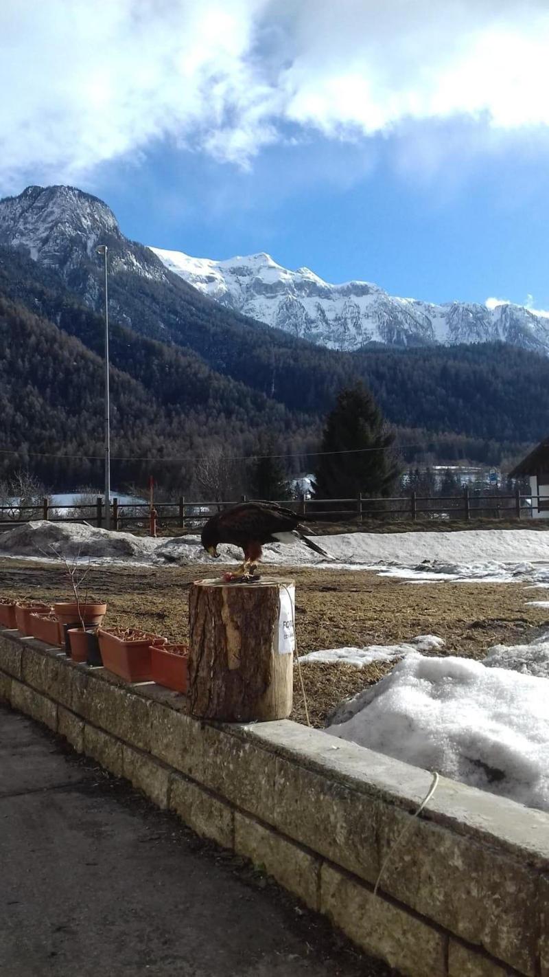 B&B Nido Delle Aquile - Genel