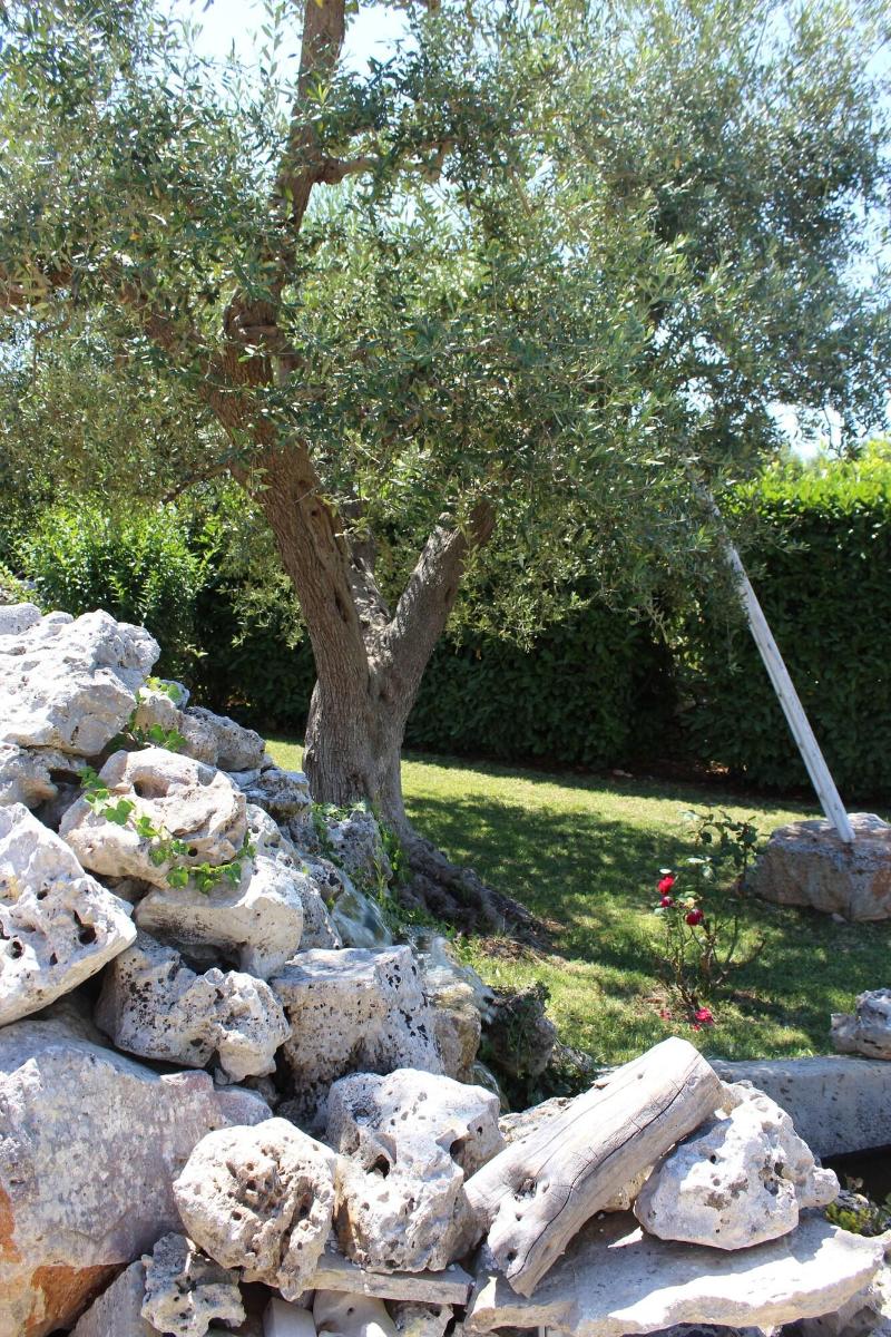 Bed  Breakfast La Rosa dei Trulli - Genel
