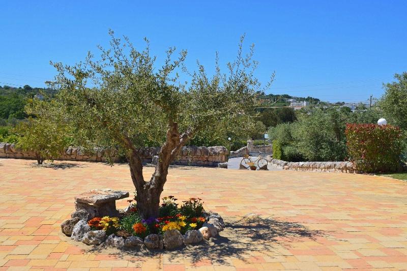 Bed  Breakfast La Rosa dei Trulli - Genel