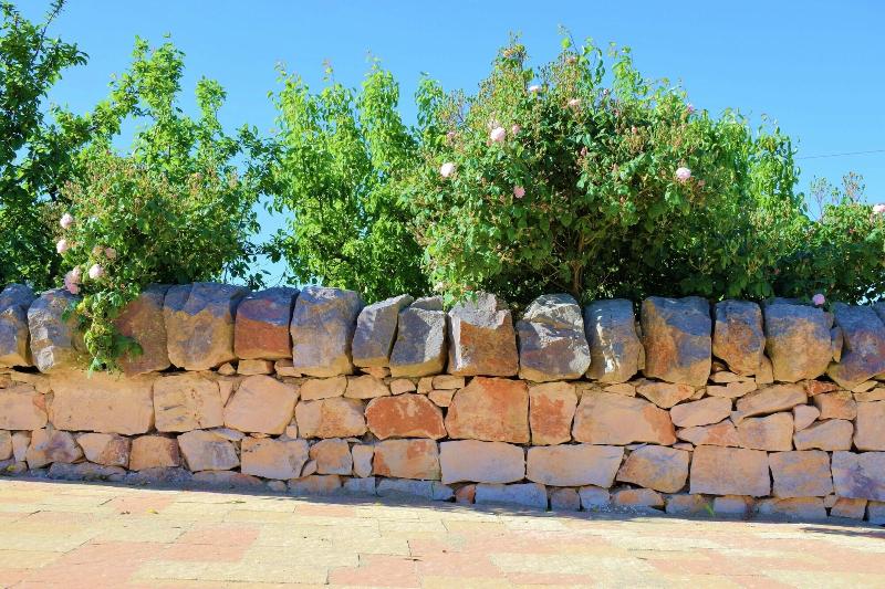 Bed  Breakfast La Rosa dei Trulli - Genel