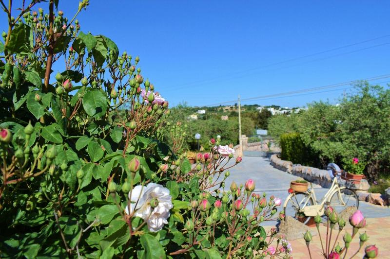 Bed  Breakfast La Rosa dei Trulli - Genel