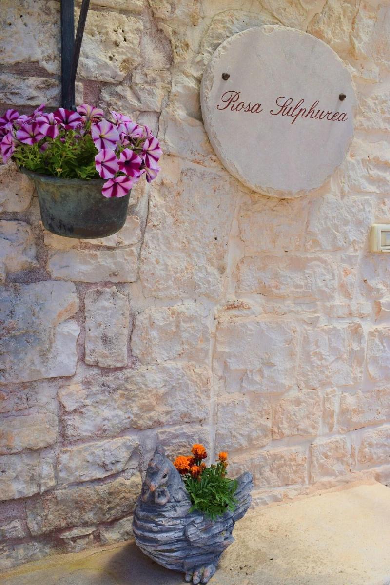 Bed  Breakfast La Rosa dei Trulli - Genel