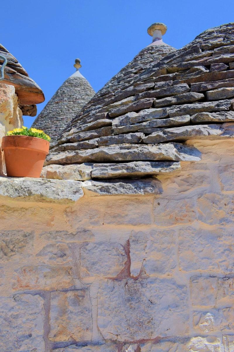 Bed  Breakfast La Rosa dei Trulli - Genel