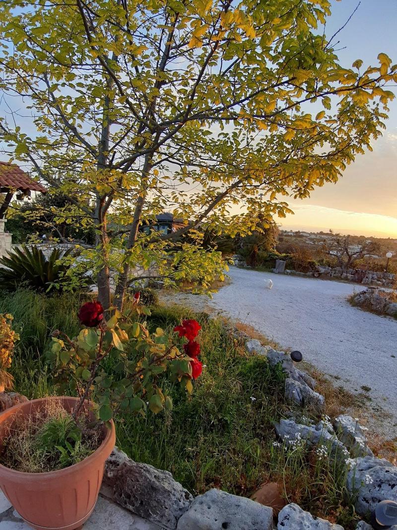 Bed  Breakfast La Rosa dei Trulli - Genel