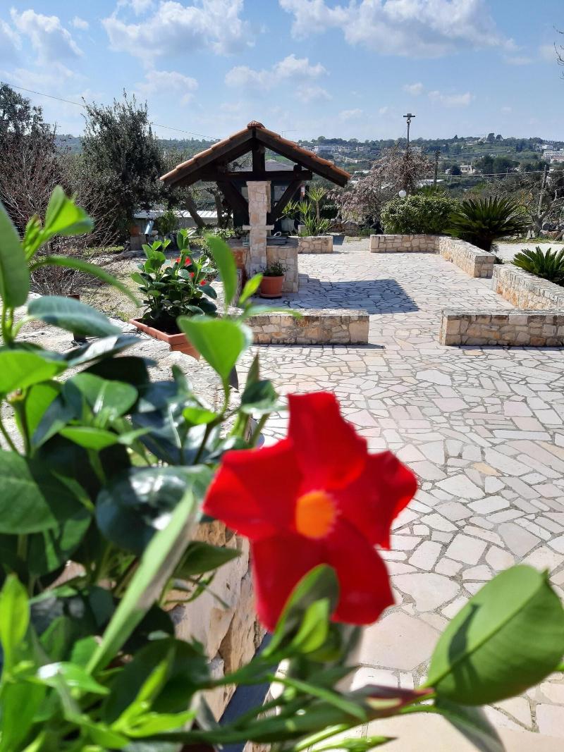 Bed  Breakfast La Rosa dei Trulli - Genel