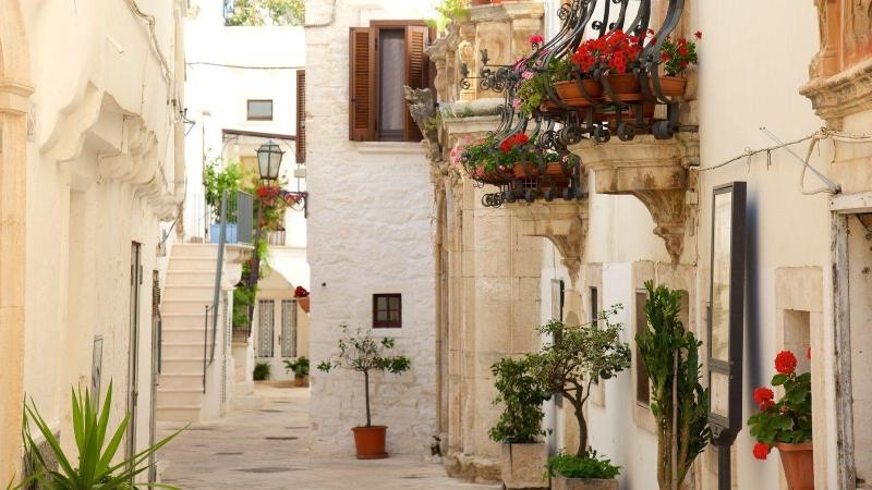 Bed  Breakfast La Rosa dei Trulli - Genel