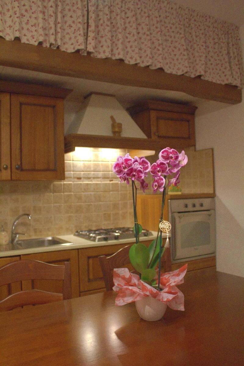 Bed  Breakfast La Rosa dei Trulli - Oda