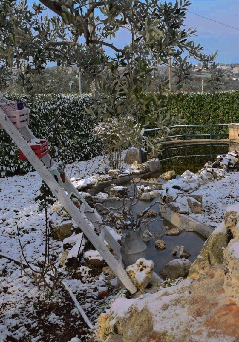 Bed  Breakfast La Rosa dei Trulli - Oda