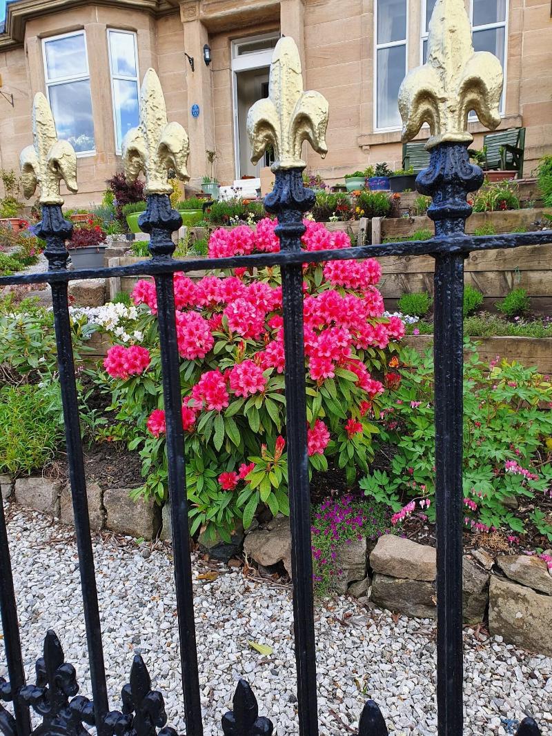 Dean Park Guest House - Genel